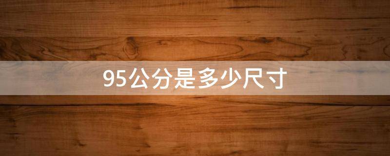 95公分是多少尺寸