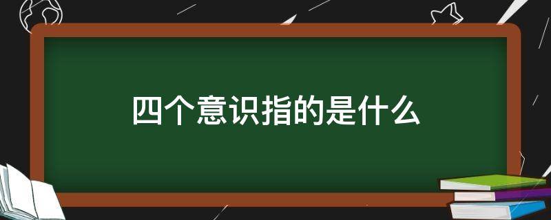 四个意识指的是什么