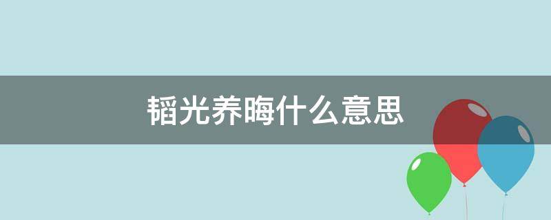 韬光养晦什么意思