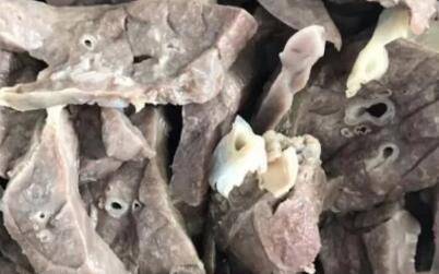 怎么炒肺子