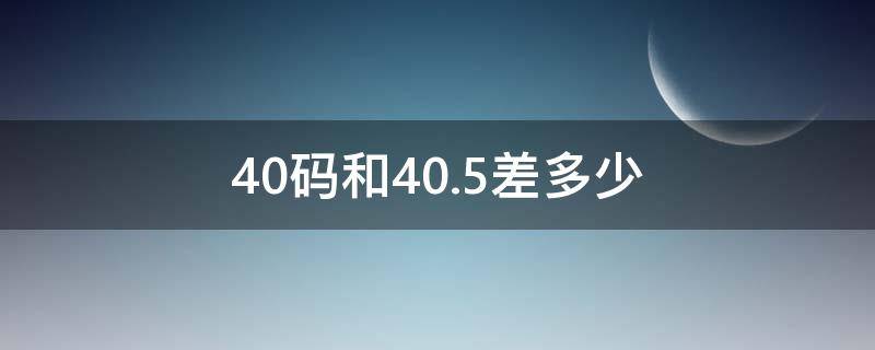 40码和40.5差多少