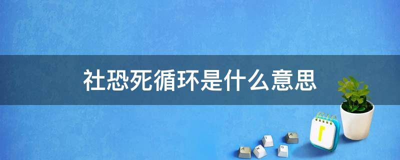 社恐死循环是什么意思