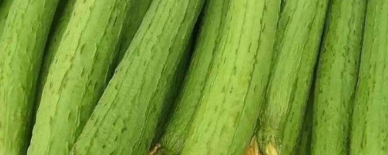 丝瓜切好了如何放不变色