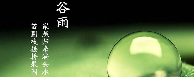 谷雨吃什么