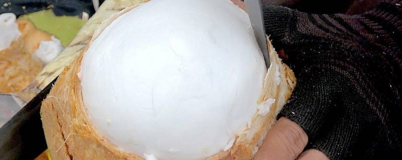 椰子肉怎么吃