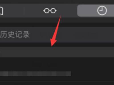 safari怎么查早期历史
