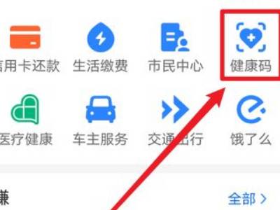 支付宝金盾健康码怎么弄