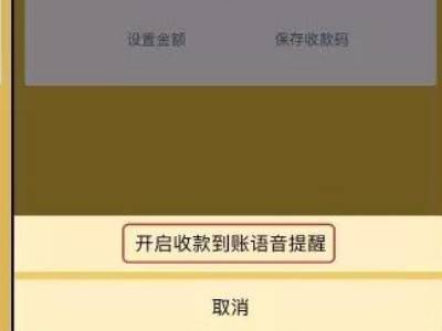 微信转账语音提醒怎么设置