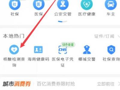 怎么查核酸检测结果手机上支付宝