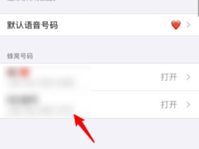 苹果双卡怎么关闭一个