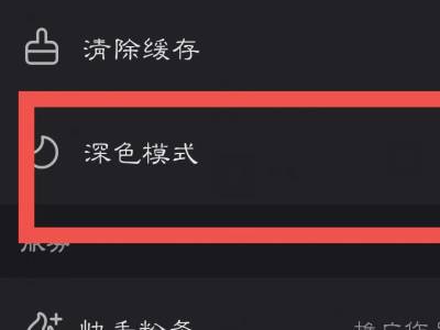 快手夜间模式怎么设置