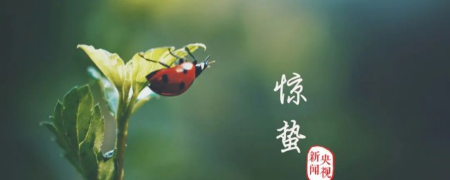 惊蛰养生注意什么 惊蛰养生注意事项