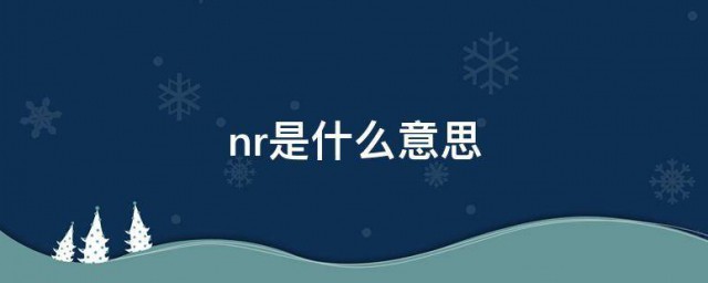 nr是什么意思 nr应该是什么意思