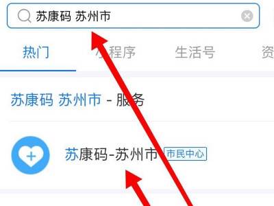 苏康码在支付宝哪里找