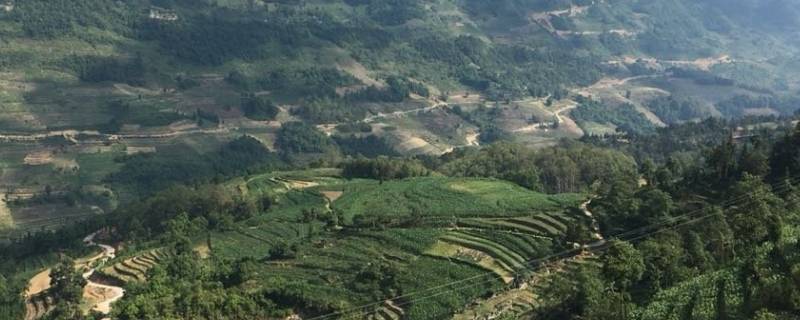 马关县特色文化