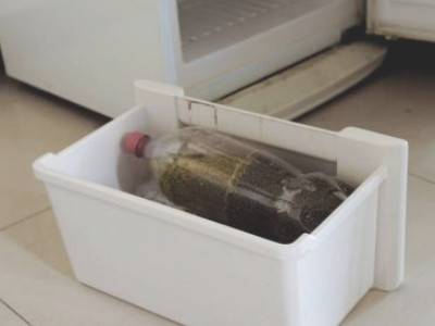 干绿豆可以长期放冰箱冷冻吗