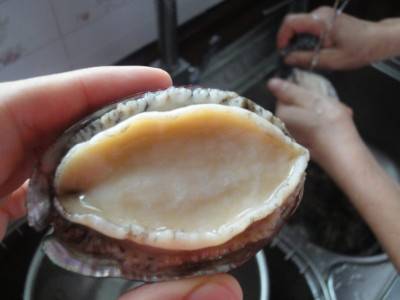 鲍鱼汤放入什么材料煲