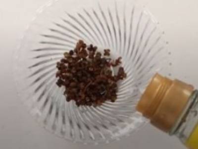 如何灭蚊子小窍门