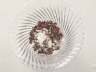 如何灭蚊子小窍门