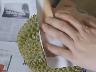 催熟榴莲的方法吹风机
