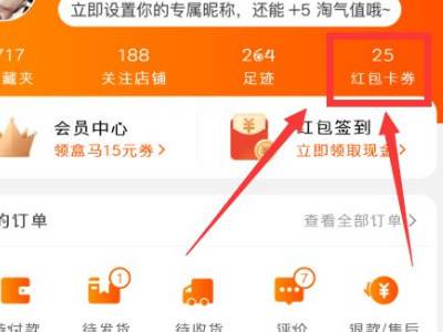 淘宝店铺会员在哪里看