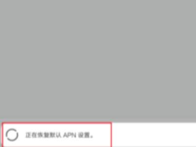 红米手机开了数据不能上网