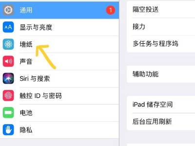 ipad如何换自己喜欢的壁纸
