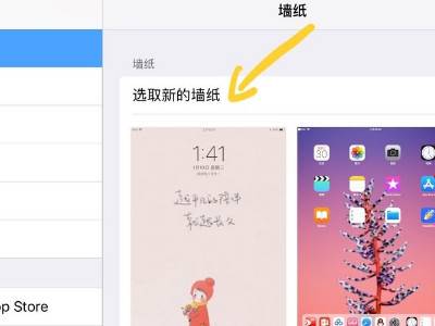 ipad如何换自己喜欢的壁纸