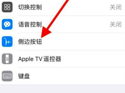 siri侧边按钮是按哪个