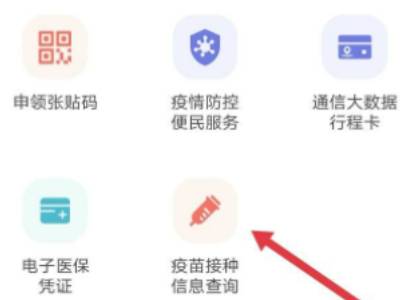 怎么查看自己的疫苗接种记录