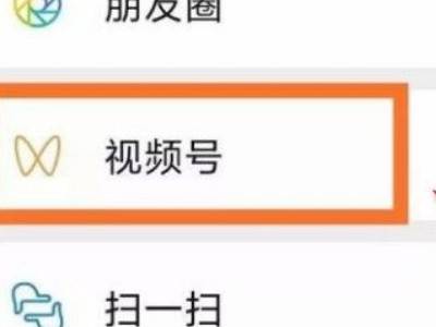 我的视频号在哪里找到