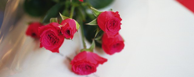 21朵红玫瑰的花语是什么 21朵红玫瑰的花语有哪些
