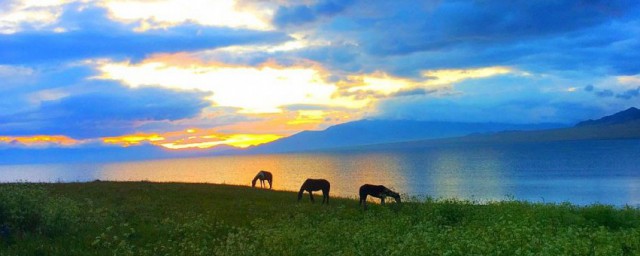 青海在哪 青海简介