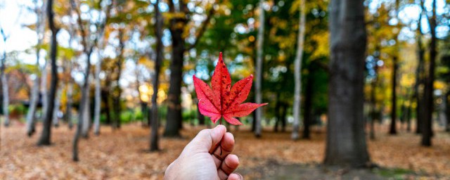 秋分怎样发朋友圈 秋分发朋友圈说说