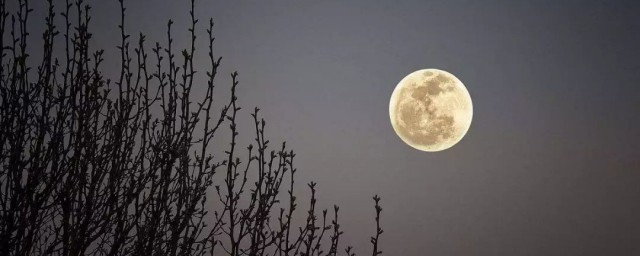 形容中秋节圆月的唯美句子说说 容中秋节圆月的唯美句子说说有哪些