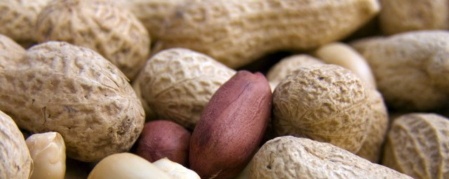 花生属于豆类吗应该属于哪一类 花生属于什么一类的