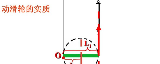 动滑轮的实质是什么 什么是动滑轮