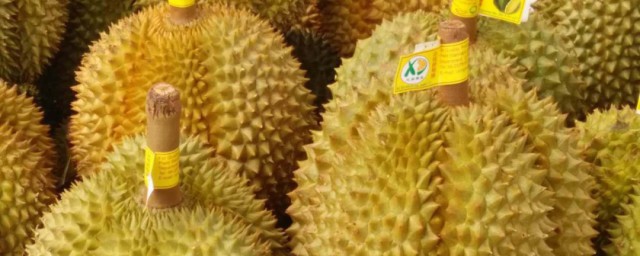 榴莲虫可以吃吗 榴莲虫能不能吃