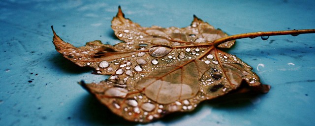 心中的雨点是指什么 心中的雨点是什么意思