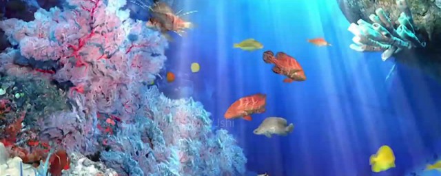 世界上最大的海是什么 世界上最大的海介绍