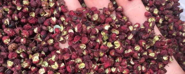 麻椒怎么用更麻更出味 麻椒如何用更麻更出味