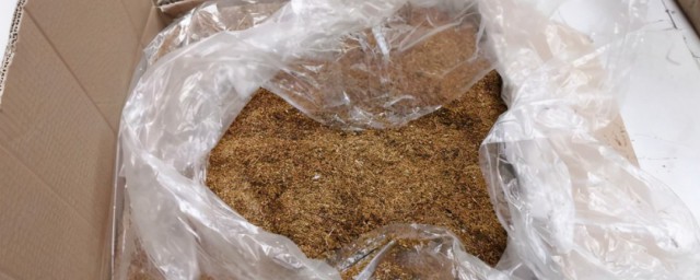 烟丝泡水浇花可杀虫吗 烟丝泡水浇花是否可杀虫