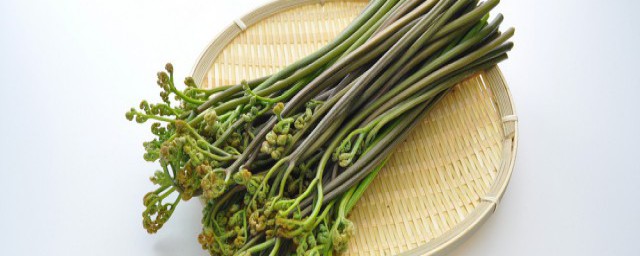 蕨菜长什么样子像什么 蕨菜的简介