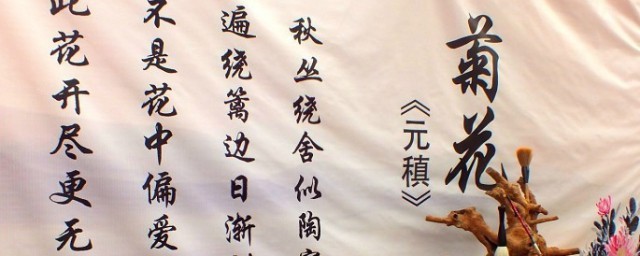 菊花这首诗的意思 菊花这首诗的意思介绍