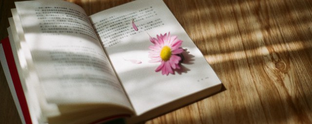 摽梅之年是什么意思 摽梅之年的解释