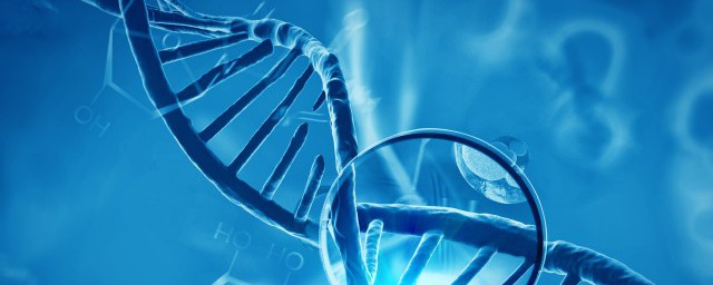 染色体的主要成份是什么 染色体的主要成份简介