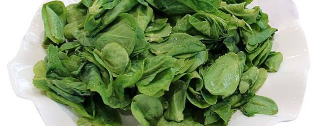 豆妃是什么蔬菜 豆妃的介绍