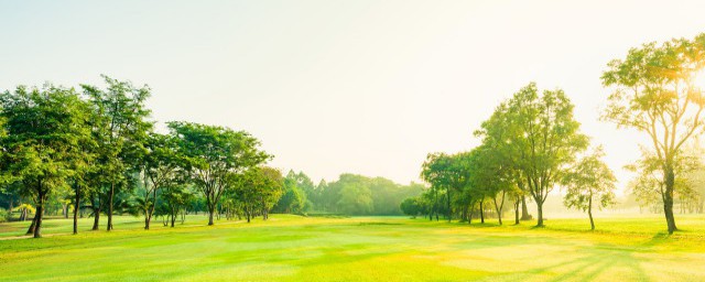 国际臭氧层保护日是什么时候 国际保护臭氧层日是几月几日