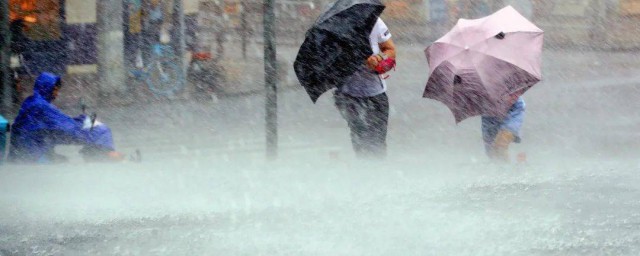 暴雨怎么形成的原因是什么 暴雨怎么形成的原因介绍