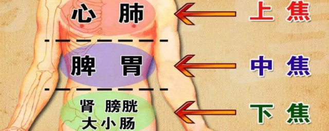 三焦经是指哪三经 三焦是什么意思